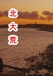 操操操操操操
